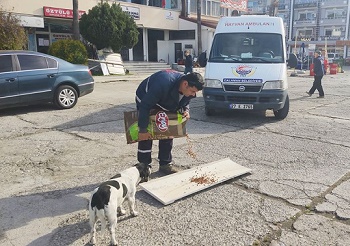 SOKAK HAYVANLARI UNUTULMADI