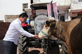 BODRUM’DA TARIM ACİL EYLEM PLANI HAZIRLANIYOR