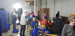 ORTACA KAYMAKAMLIĞI MASKE DAĞITIMINA DEVAM EDİYOR.