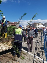 ORTACA’DA VATANDAŞLARA FISTIK ÇAMI VE SIĞLA FİDANI DAĞITILDI