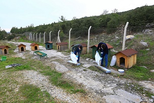 Vahşi Yaşama Sıcak Yuva