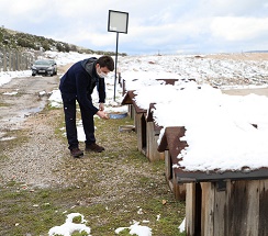 Büyükşehir, Kar Yağışında Can Dostlarını Unutmadı