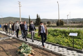 TARIMSAL ÇALIŞMALARI YERİNDE İNCELEDİLER 