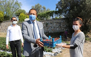 BELEDİYE, TEZGAHA ÇIKARILAMAYAN ÜRÜNLERİ HALKA ULAŞTIRIYOR