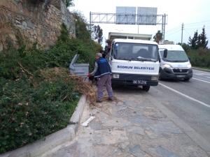 BODRUM BELEDİYESİ FIRTINADA ZARAR GÖREN AĞAÇLARA MÜDAHALE ETTİ
