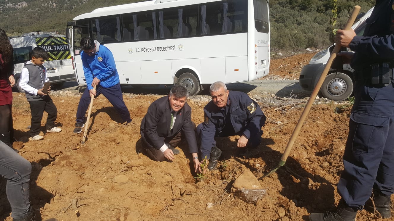 KÖYCEĞİZ’DE FİDANLAR TOPRAKLA BULUŞTU