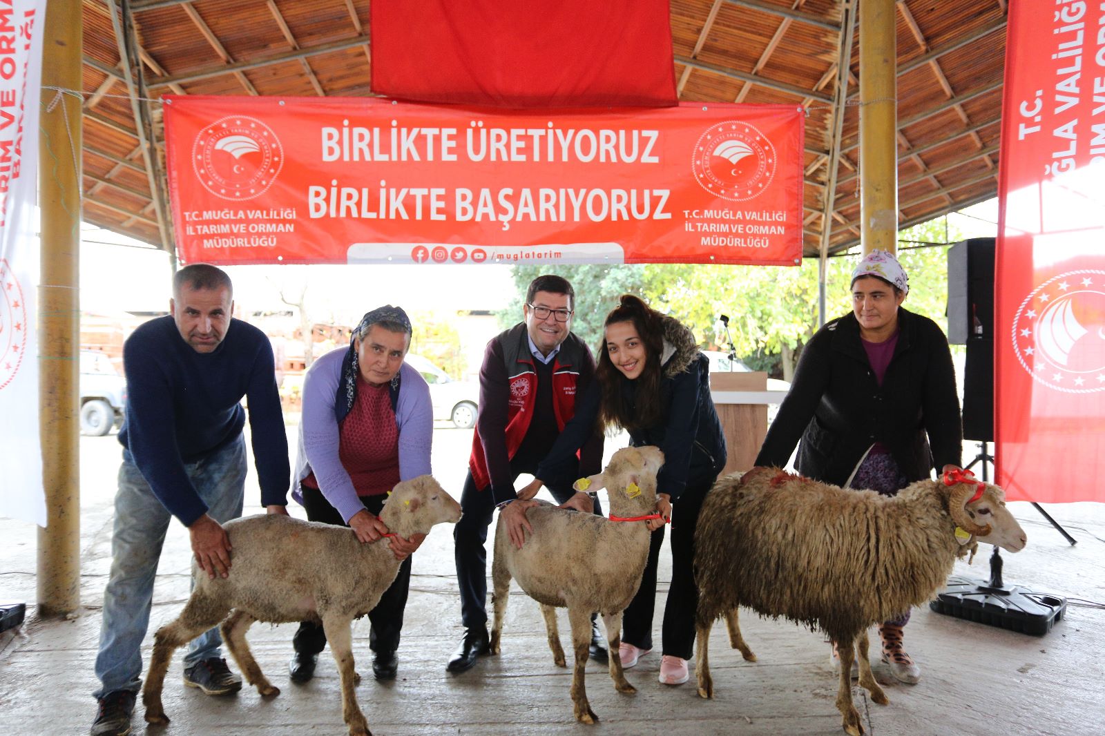 Kadın Üreticilere 1300 koyun ve 52 koç dağıtıldı