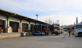 İLK YEDİ AYDA 19 BİN 432 TON ÇIKIŞ YAPILDI