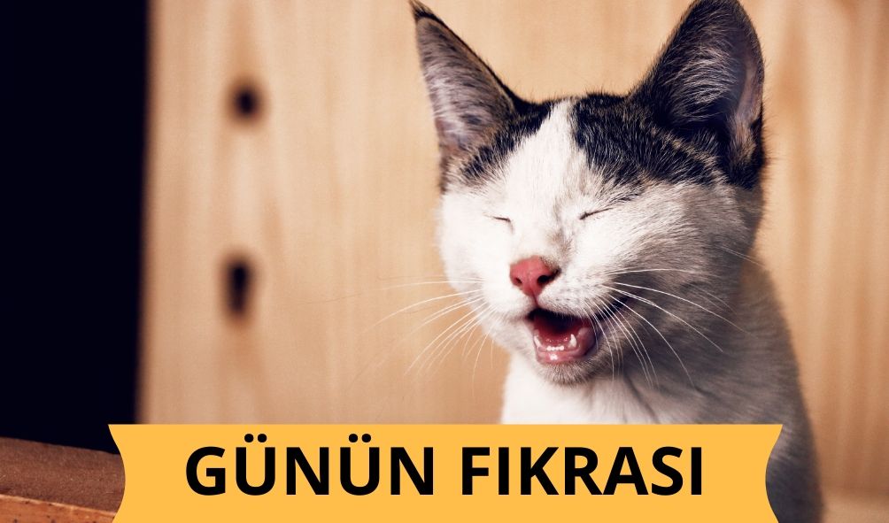 Günün Fıkrası: Şimdi Ne Yapacağım?