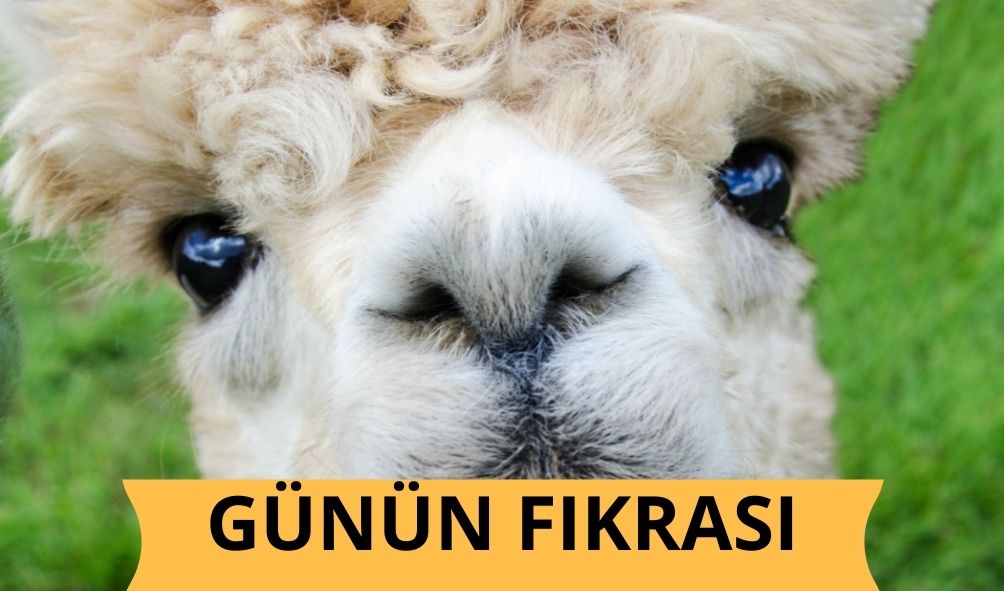 Günün Fıkrası: Asıl Sen Kendini Hazırla