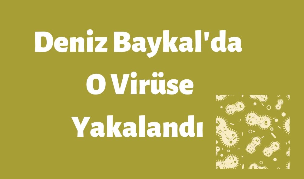 Deniz Baykal’da O Virüse Yakalandı