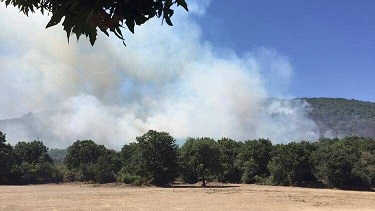 Çan’da  Orman Yangını
