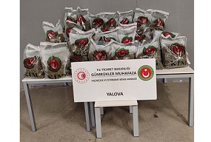 YALAOVA’DA 80 KİLOGRAM UYUŞTURUCU ELE GEÇİRİLDİ