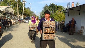 Çam Melkisi, Köylülerin Gelir Kapısı Oldu!