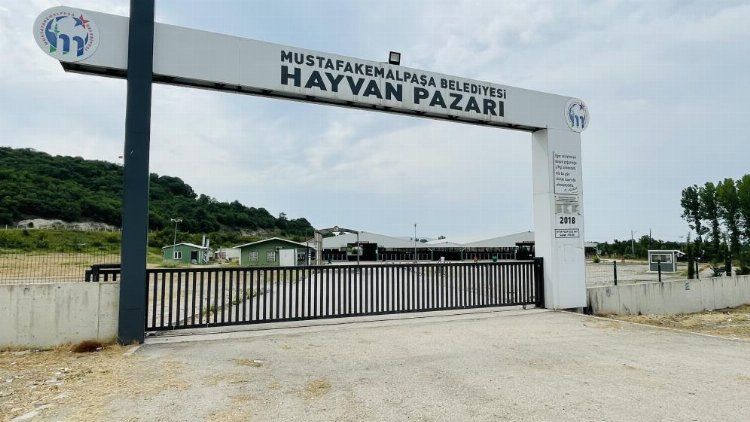 Bursa TB Yönetim Kurulu Üyesi Serdar Yıldız, halk arasında soru işaretlerine neden olan şap hastalığına karşı Bursa’da endişeye neden olcak bir durum yaşanmadığını belirtti