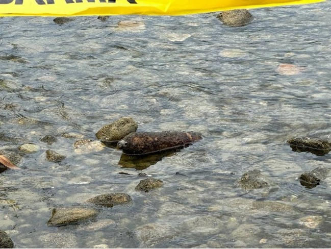  Bursa’nın İznik Gölü’nde hangi döneme ait olduğu bilinmeyen top mermisi bulundu